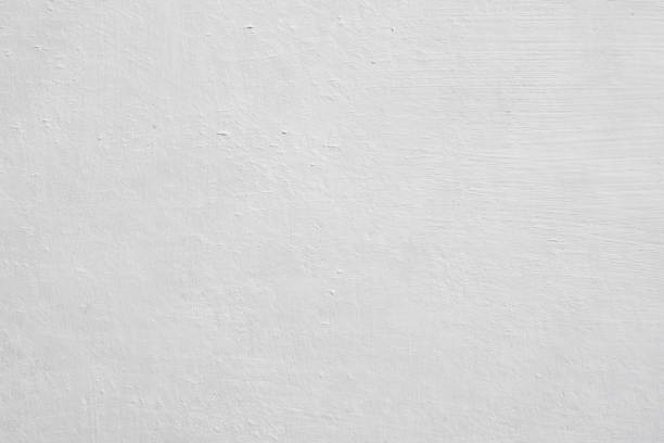 Trusted Sacred Heart University, CT Mold Removal Experts